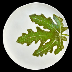 Dinner plate Fig leaf