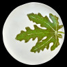 Dinner plate Fig leaf