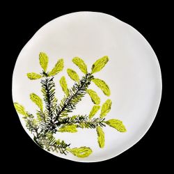 Dessert plate spruce