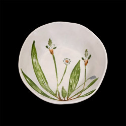 Assiette à creuse Plantin