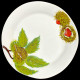 Majolica Chestnut dinner plate