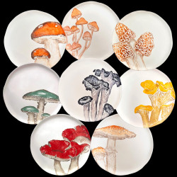 Set assiettes de table champignon pour 8