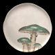 Mushroom Dinner Plate Set for 8