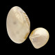 Coquillage rond sur pied