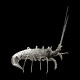 Langouste sculpture en fonte argentée Mauro Manetti L 43 x 30 cm H 44 cm