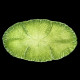 Plat oval faïence chou vert