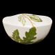 Salad bowl of edible plants