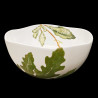 Saladier plantes comestibles