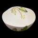 Salad bowl of edible plants