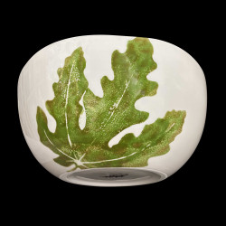 Salad bowl of edible plants
