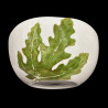 Salad bowl of edible plants