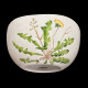 Salad bowl of edible plants
