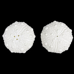 Pair of Salt and Pepper Shaker