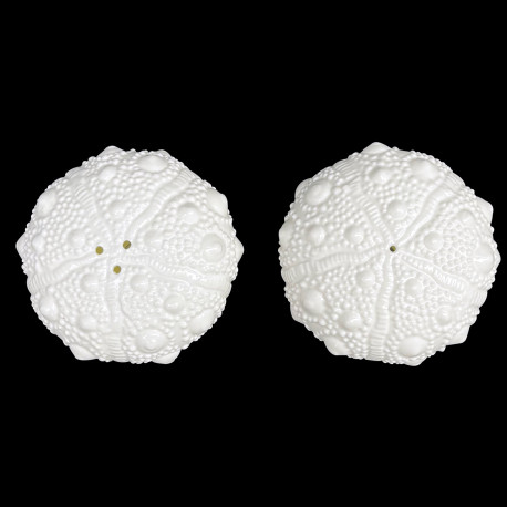 Paire de salière et poivrière