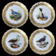 12 porcelain dinner plates with birds from Royal Vienna late 19th century