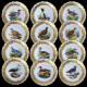 12 porcelain dinner plates with birds from Royal Vienna late 19th century