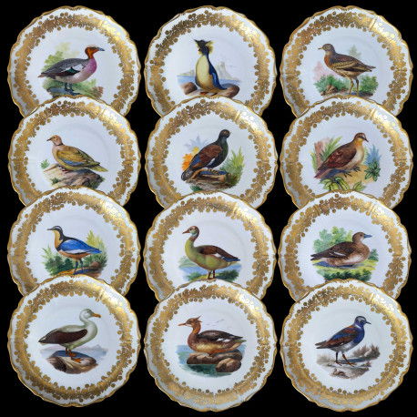 12 porcelain dinner plates with birds from Royal Vienna late 19th century
