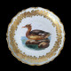 12 assiettes décor d'oiseaux porcelaine de la manufacture Royal Vienna, fin XIXe