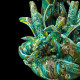 Turquoise Seahorse Fish Candle Holder