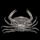 Crab-shaped Caviar Dish in Pewter by Piero Figura