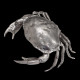 Plat à caviar en forme de crabe par Piero Figura