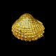 Gold seashell napkin ring