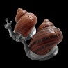 Salt & pepper shakers Pewter Snails