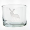 Short straight glass Rabbit