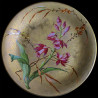 série de 11 Assiettes XIX D 23 cm 
