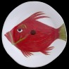 Majolica dinner plate john dory fish