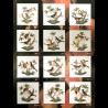 Mug  Rothschild Herend