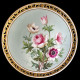 11 dinner plates Flowers in Minton porcelain, 1874-1884