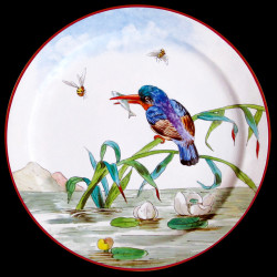 Tin box of 6 tin plates "The Birds" Buffon collection