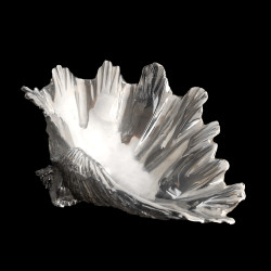 Salière Coquillage métal argenté