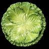 Majolica cabbage dinner plate