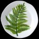 Fern - standard plate D 29 cm