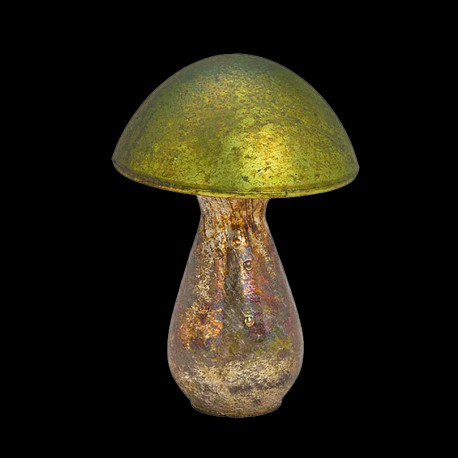 Champignon verre GM