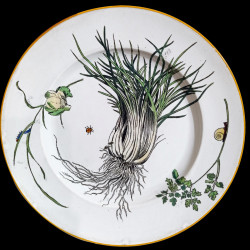 Assiette de table Légumes Creil & Montereau XIXe siècle