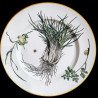 Assiette de table Légumes Creil & Montereau XIXe siècle