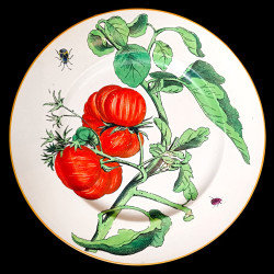 Assiette de table Légumes Creil & Montereau XIXe siècle