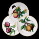 Vegetables Dinner Plate Creil & Montereau 19th century