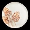 Dinner plate Morel