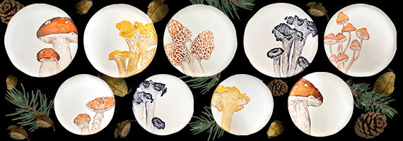 Edible Mushrooms Collection